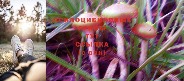 стаф Усолье-Сибирское