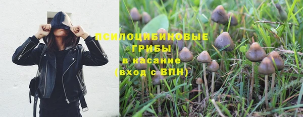 спиды Усинск