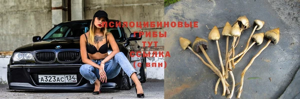 стаф Усолье-Сибирское