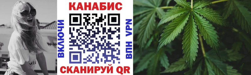 закладки  Дубовка  Канабис VHQ 